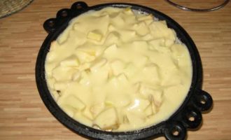 Шарлотка со сметаной и яблоками в духовке вкусный пошаговый рецепт с фото и видео